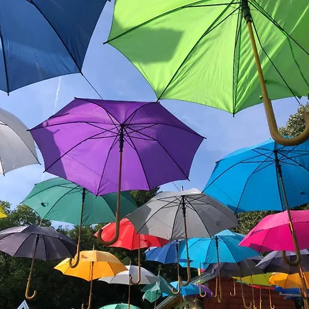 Tacina I Dokina Kolibica Arandjelovac