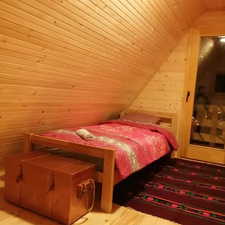 Tacina I Dokina Kolibica Arandjelovac